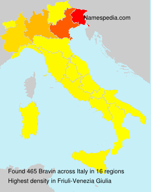 Surname Bravin in Italy