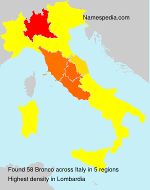 Surname Bronco in Italy