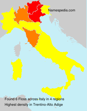 Surname Floss in Italy