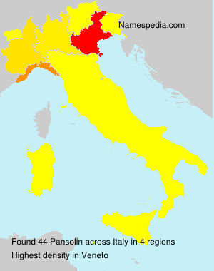 Surname Pansolin in Italy