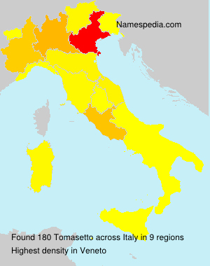 Surname Tomasetto in Italy