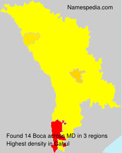 Surname Boca in Moldova