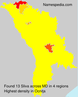 Surname Sliva in Moldova