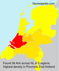 Surname Ami in Netherlands
