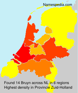 Surname Bruyn in Netherlands
