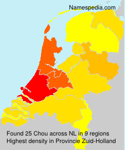 Surname Chou in Netherlands