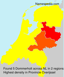 Surname Dommerholt in Netherlands