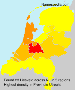 Surname Liesveld in Netherlands