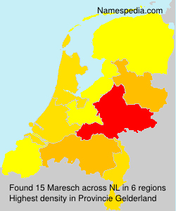 Surname Maresch in Netherlands