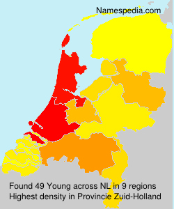 Surname Young in Netherlands