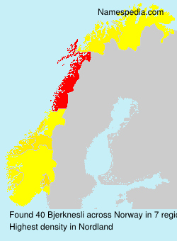 Surname Bjerknesli in Norway
