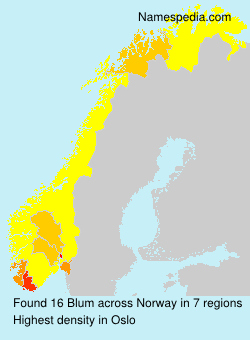 Surname Blum in Norway
