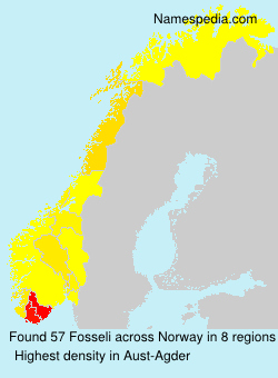 Surname Fosseli in Norway
