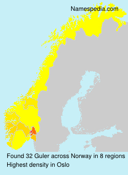 Surname Guler in Norway