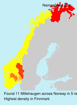 Surname Millehaugen in Norway