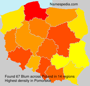 Surname Blum in Poland