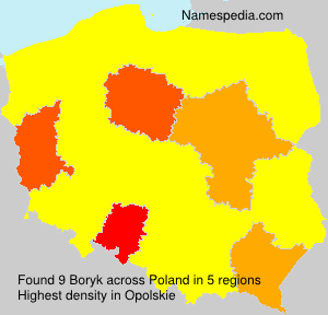Surname Boryk in Poland
