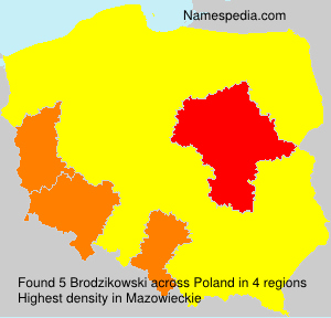 Surname Brodzikowski in Poland