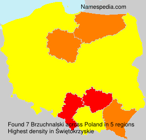 Surname Brzuchnalski in Poland