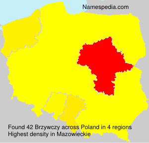 Surname Brzywczy in Poland