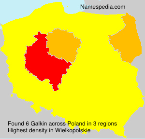 Surname Galkin in Poland