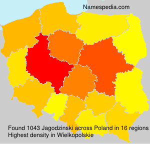 Surname Jagodzinski in Poland