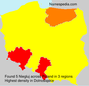 Surname Niegluj in Poland