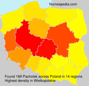 Surname Pacholak in Poland