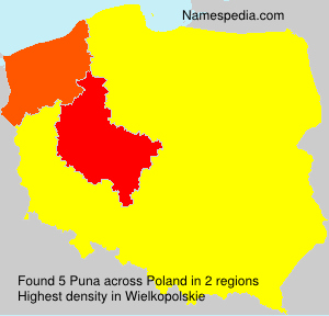 Surname Puna in Poland