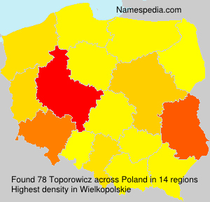 Surname Toporowicz in Poland