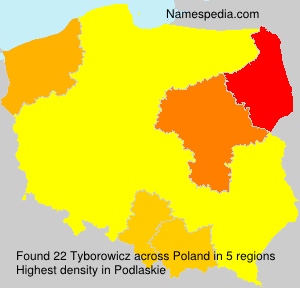 Surname Tyborowicz in Poland