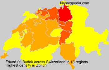 Surname Budak in Switzerland