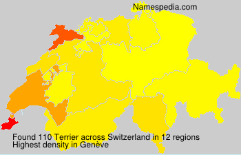 Surname Terrier in Switzerland