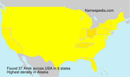 Surname Amik in USA