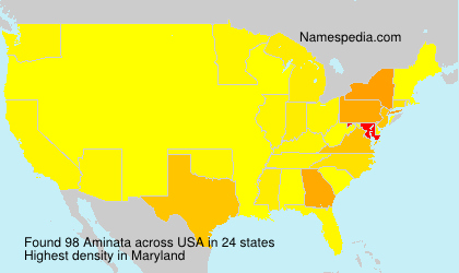 Surname Aminata in USA