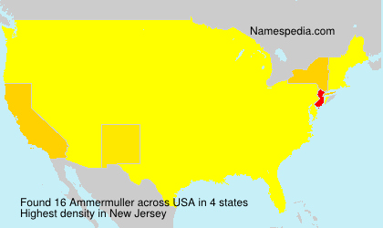Surname Ammermuller in USA