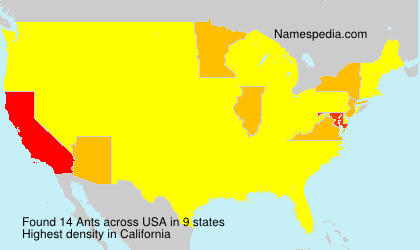 Surname Ants in USA
