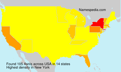 Surname Asnis in USA