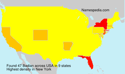Surname Badian in USA