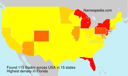 Surname Badini in USA