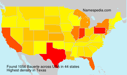 Surname Bauerle in USA