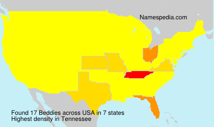 Surname Beddies in USA