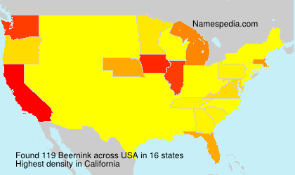 Surname Beernink in USA