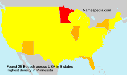 Surname Beesch in USA