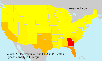 Surname Belflower in USA