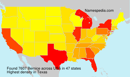 Surname Bernice in USA
