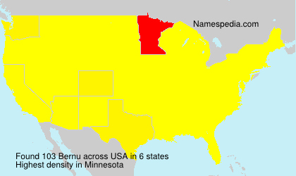 Surname Bernu in USA