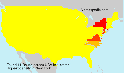 Surname Beuns in USA