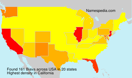 Surname Biava in USA