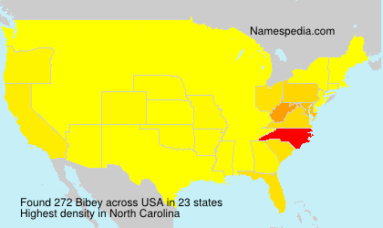 Surname Bibey in USA